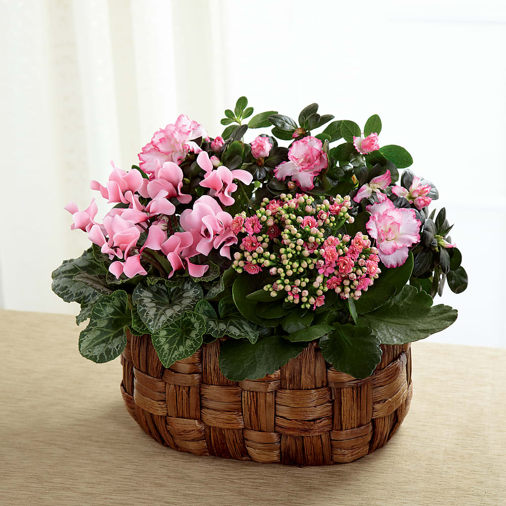 Pink Assortment – Pettles Flowers, Salina KS