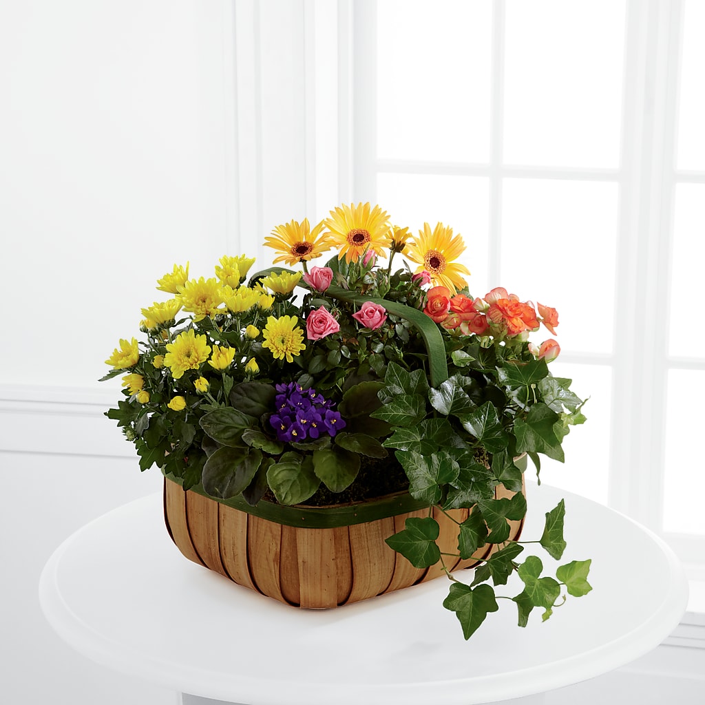 Gentle Blossoms Basket – Pettles Flowers, Salina KS