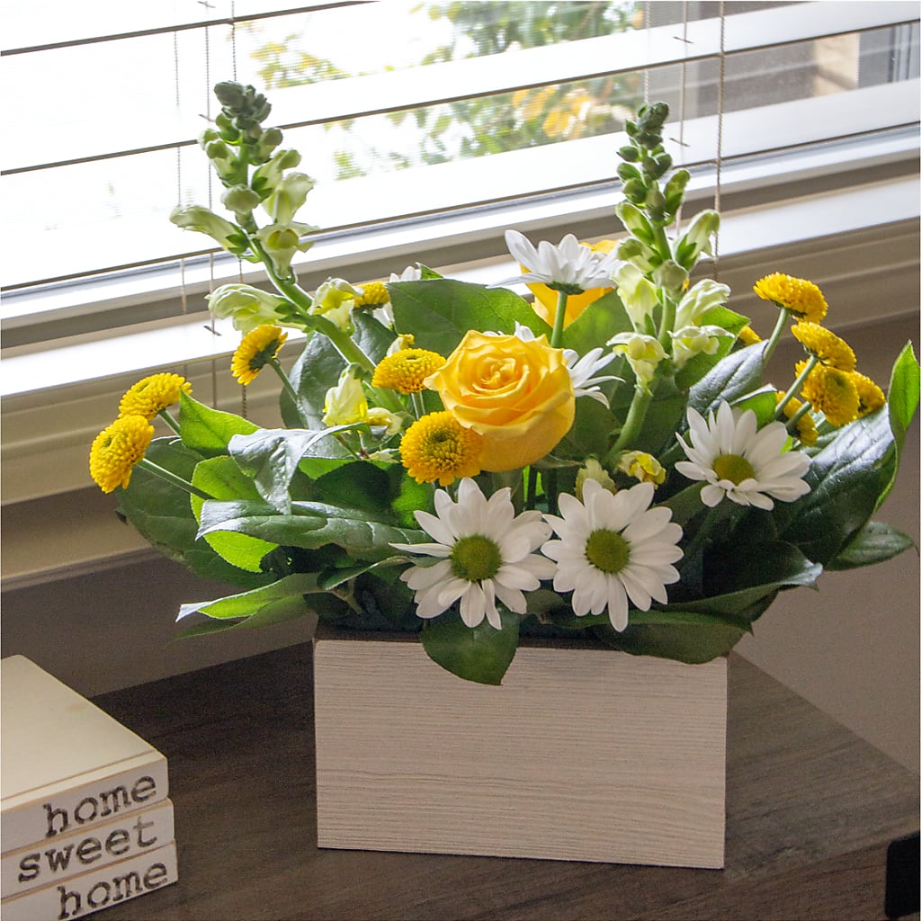 Sun Salutation Box Bouquet – Pettles Flowers, Salina KS