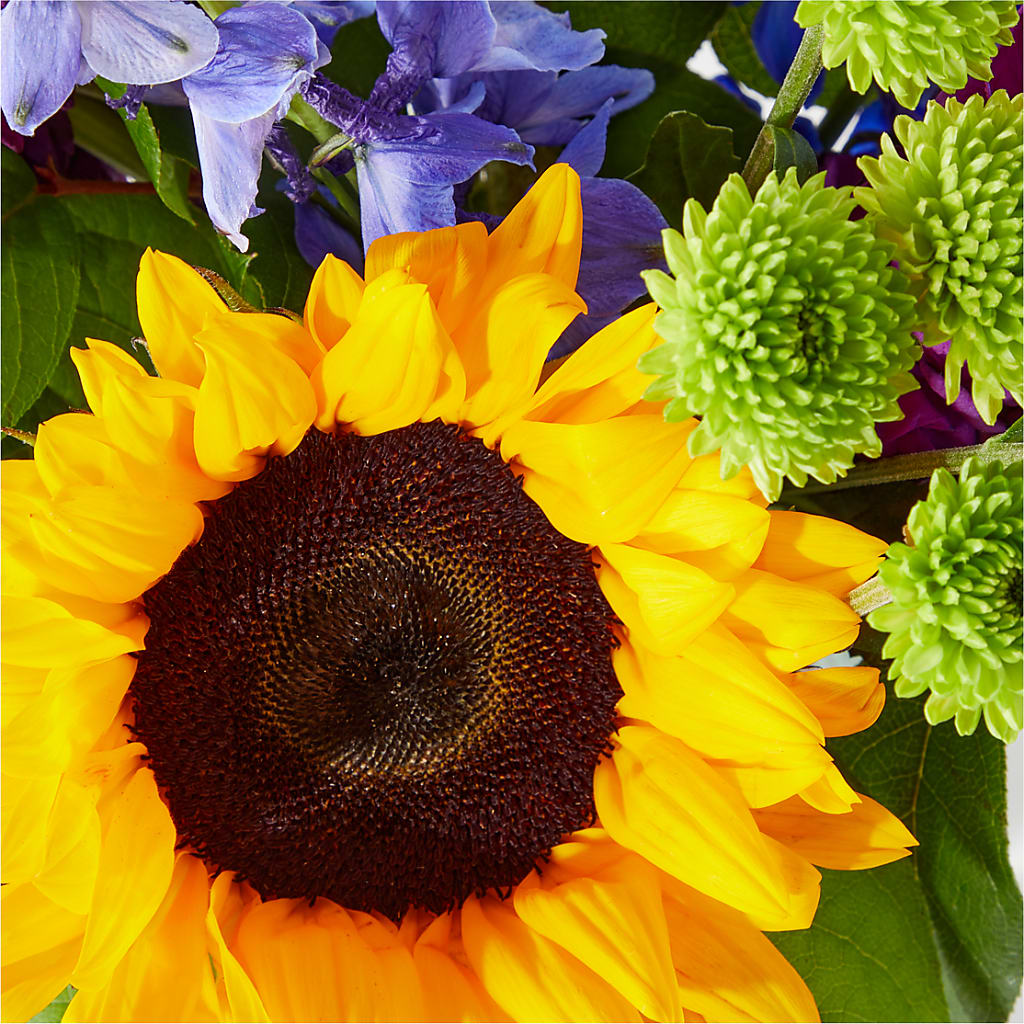 Catching Rays Bouquet – Pettles Flowers, Salina KS