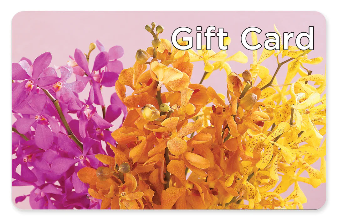 Gift Card – Pettles Flowers, Salina KS