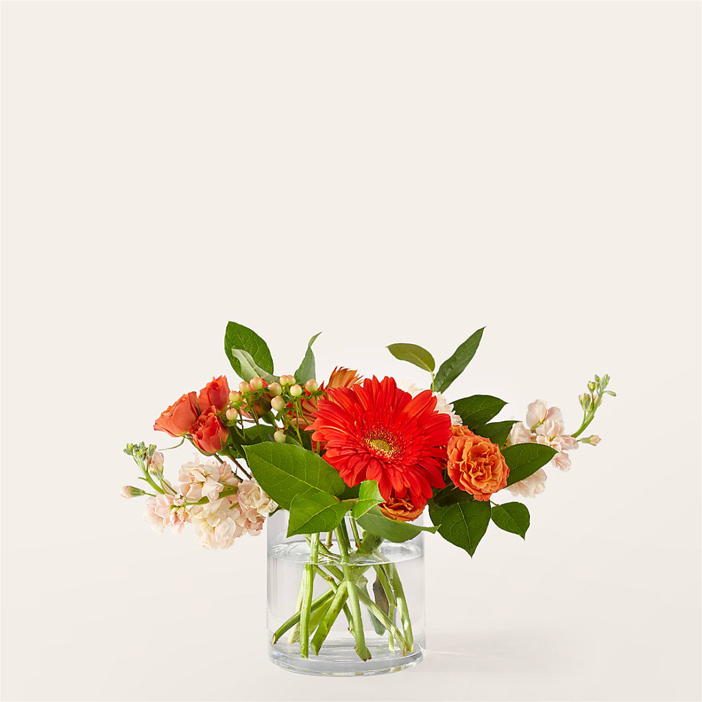 Paloma Please Bouquet – Pettles Flowers, Salina KS