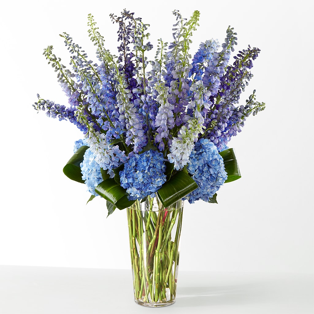 The Editorial – Pettles Flowers, Salina KS