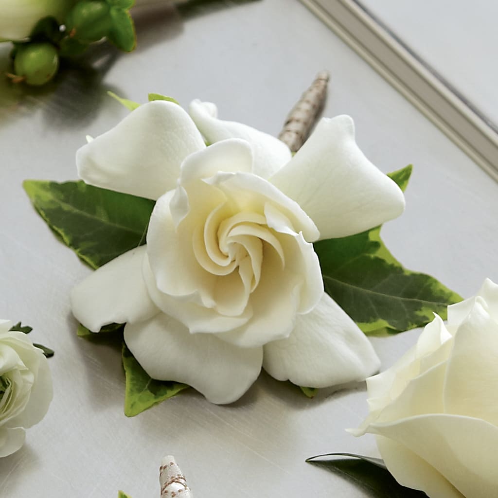 Gardenia Boutonniere – Pettles Flowers, Salina KS