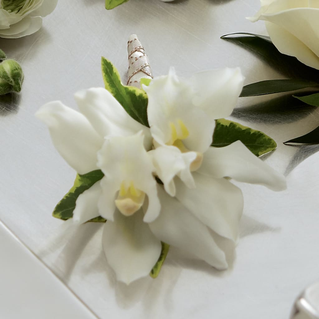 White Mini Cymbidium Boutonniere – Pettles Flowers, Salina KS