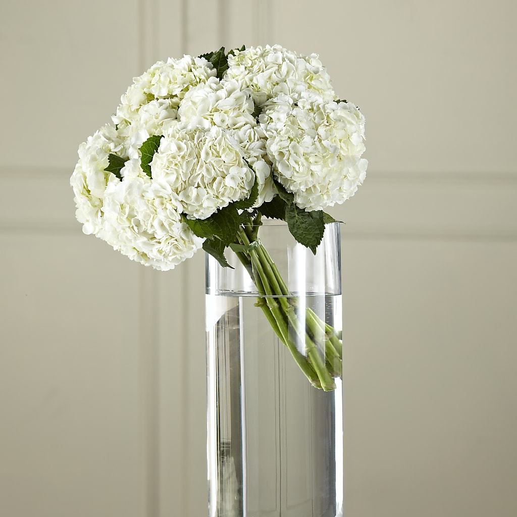 White Hydrangea Hand-Tied Bouquet – Pettles Flowers, Salina KS