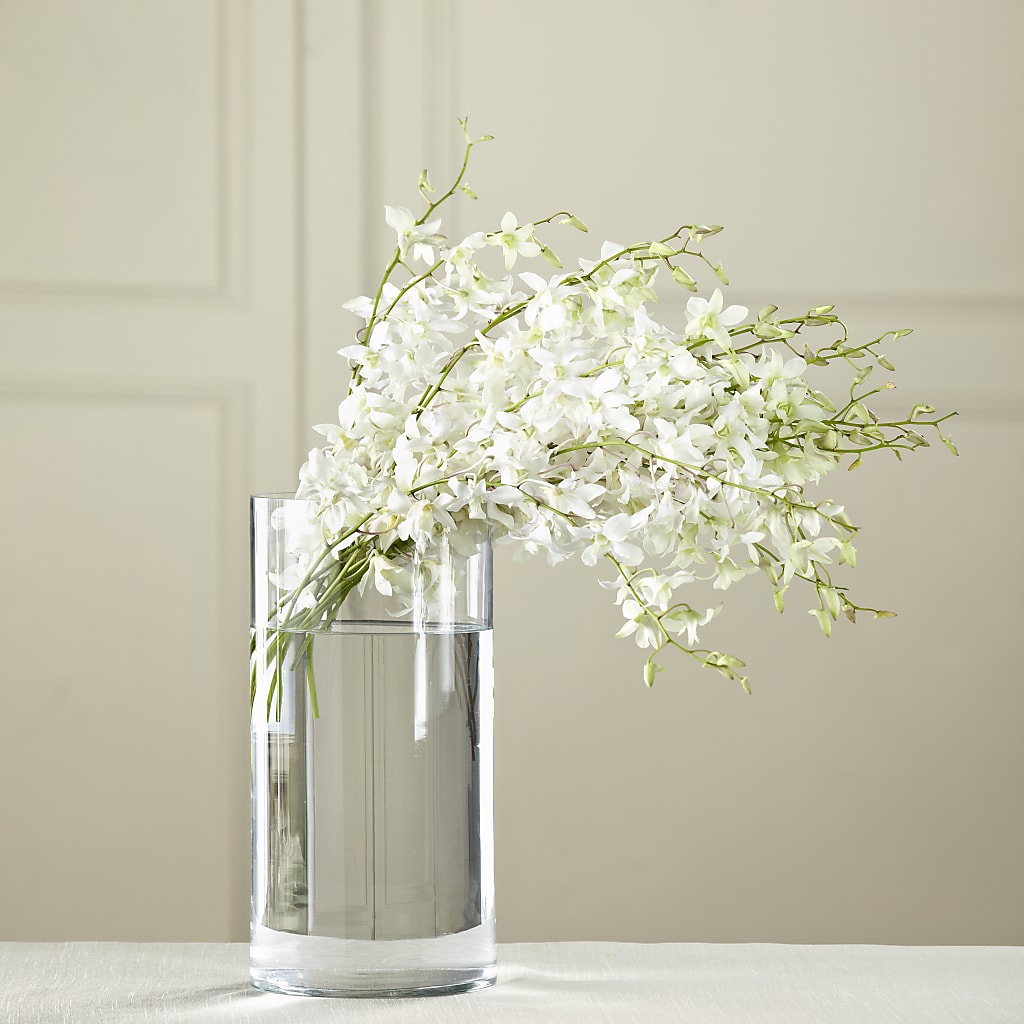 White Dendrobium Bouquet – Pettles Flowers, Salina KS