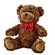Adorable Plush Bear –  Pettles Flowers, Salina KS