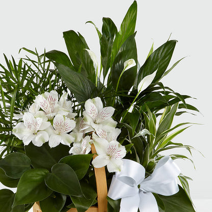 Peace & Serenity Dishgarden –  Pettles Flowers, Salina KS