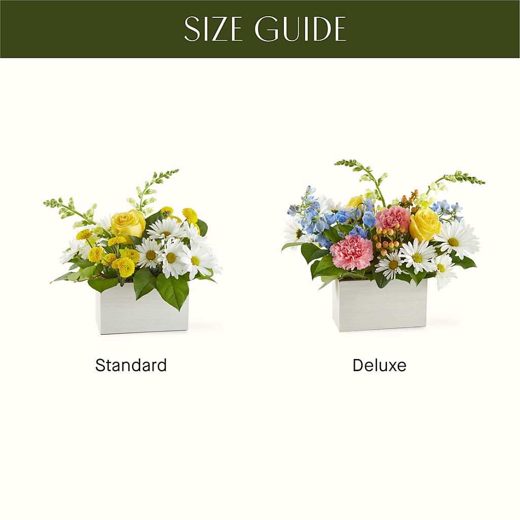 Sun Salutation Box Bouquet –  Pettles Flowers, Salina KS