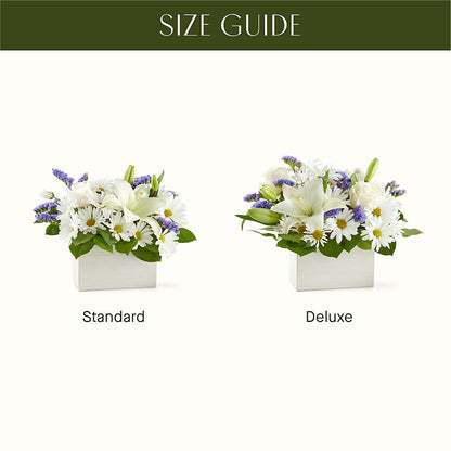 Beyond Blue Box Bouquet –  Pettles Flowers, Salina KS