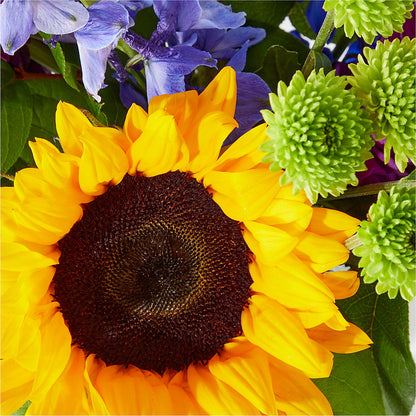 Catching Rays Bouquet –  Pettles Flowers, Salina KS
