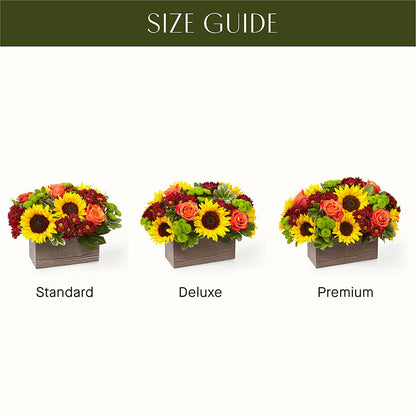 Happy Harvest Garden –  Pettles Flowers, Salina KS