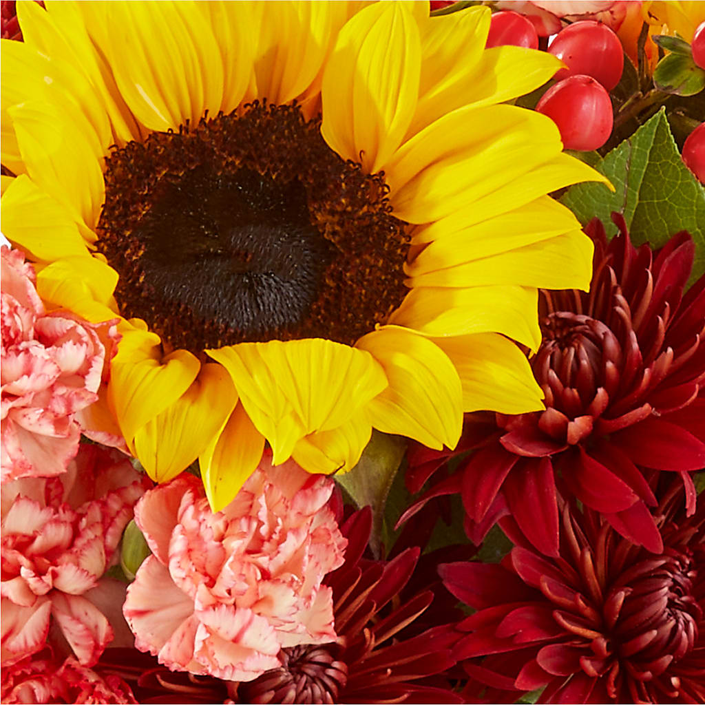 Fresh Cider Bouquet –  Pettles Flowers, Salina KS