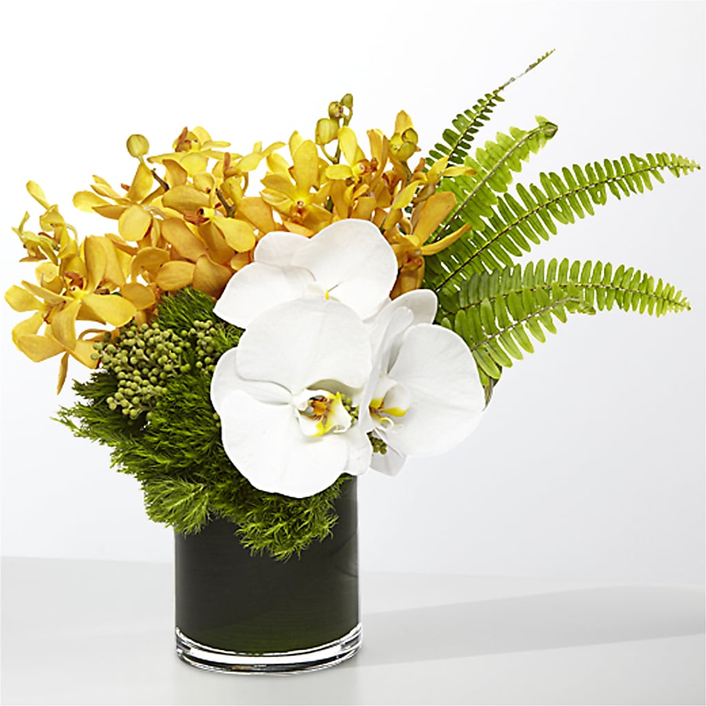 The Tropics –  Pettles Flowers, Salina KS