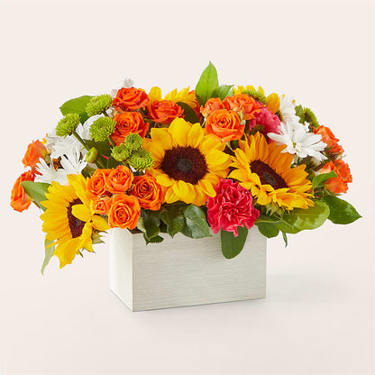 Sun-drenched Blooms Box Bouquet –  Pettles Flowers, Salina KS
