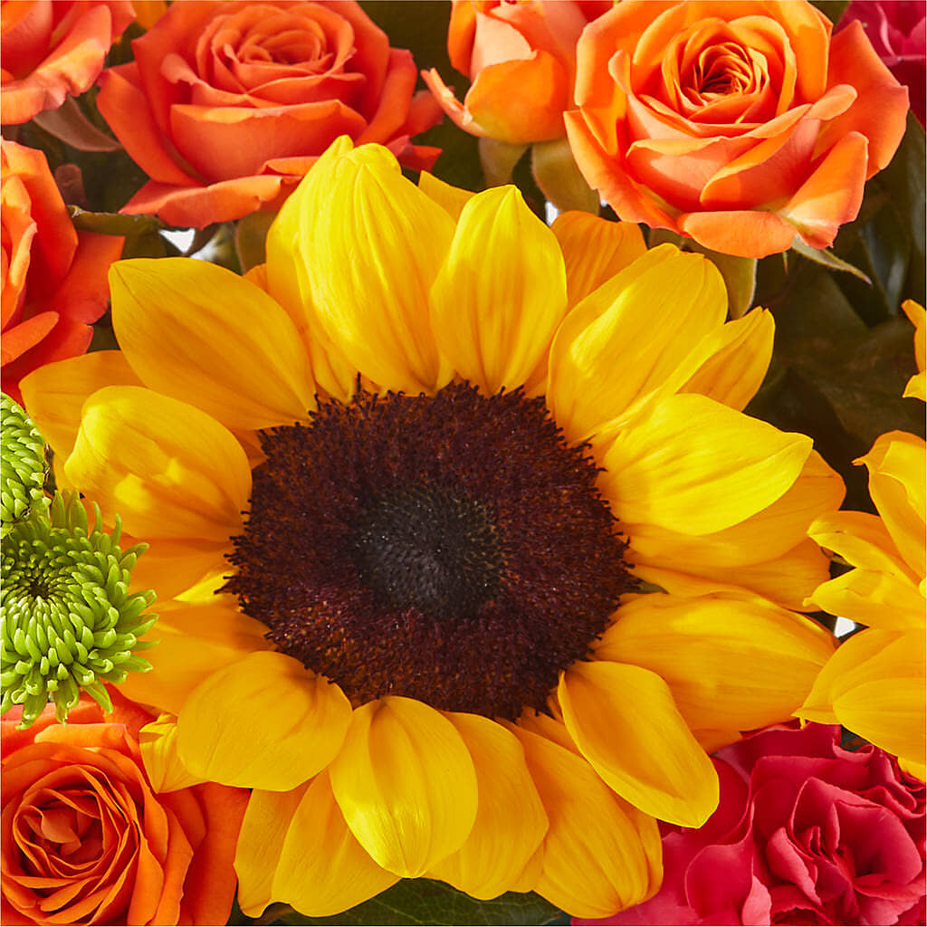 Sun-drenched Blooms Box Bouquet –  Pettles Flowers, Salina KS