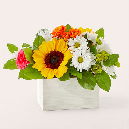 Ramo en Caja Flores Soleadas