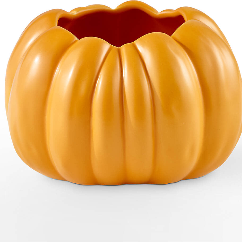 Pick of the Patch Pumpkin Bouquet –  Pettles Flowers, Salina KS