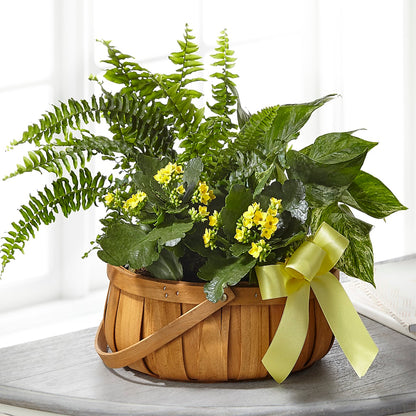 Always Dear Dishgarden –  Pettles Flowers, Salina KS