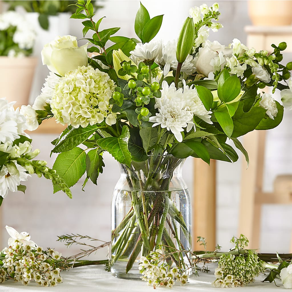 Marfil Clásico – Un Original del Florista