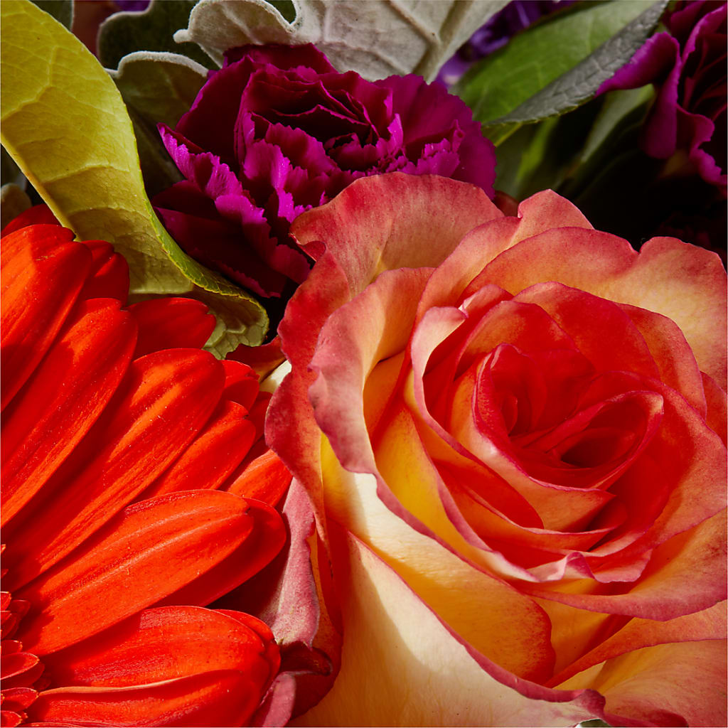 Sangria Bouquet –  Pettles Flowers, Salina KS