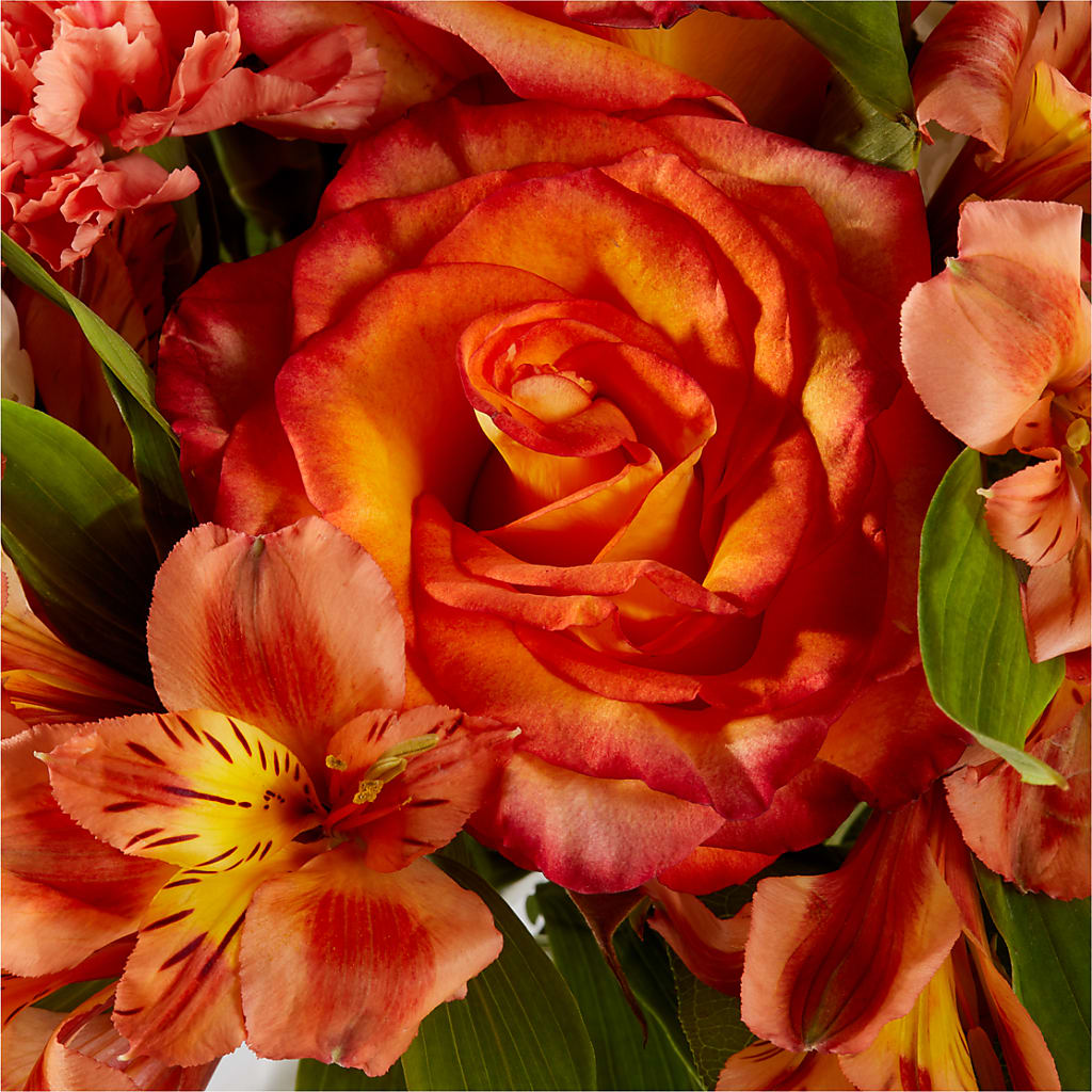 Apricot Glow Bouquet –  Pettles Flowers, Salina KS