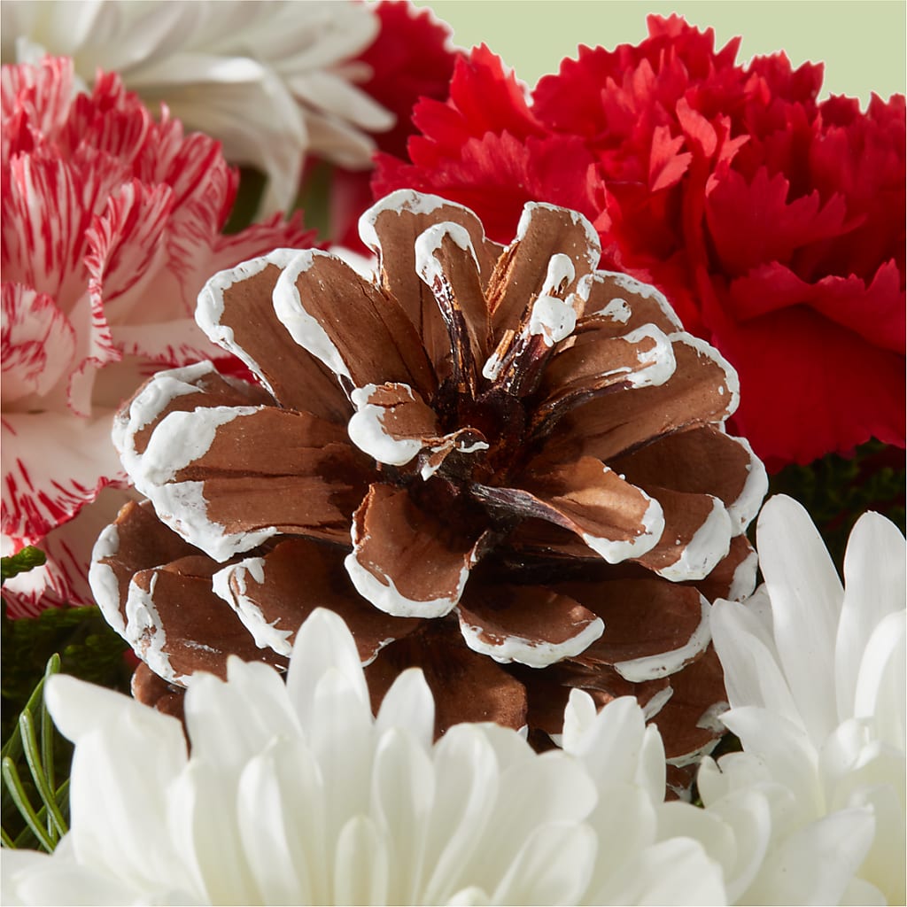 Candy Cane Lane Bouquet –  Pettles Flowers, Salina KS