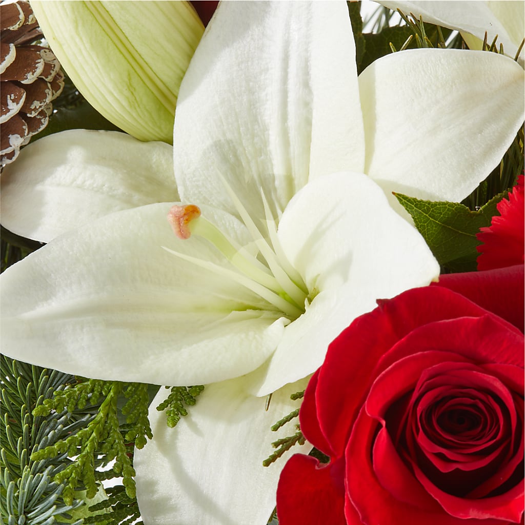 Oh So Jolly Bouquet –  Pettles Flowers, Salina KS
