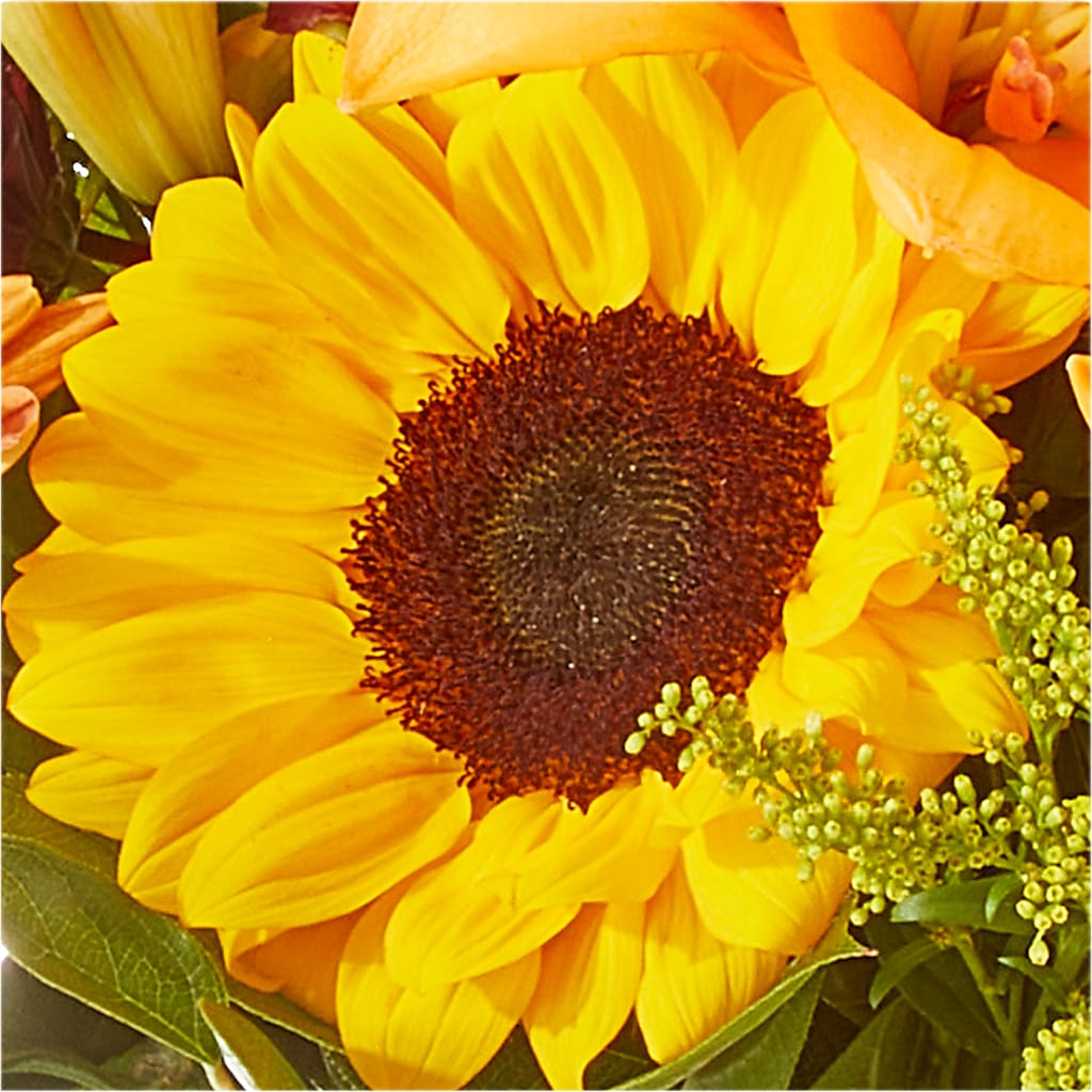 Seasons Change Bouquet –  Pettles Flowers, Salina KS
