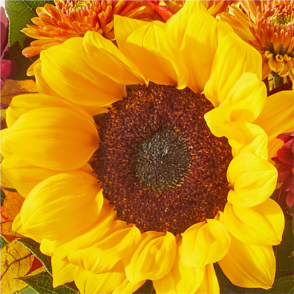 Sunny Side Bouquet –  Pettles Flowers, Salina KS