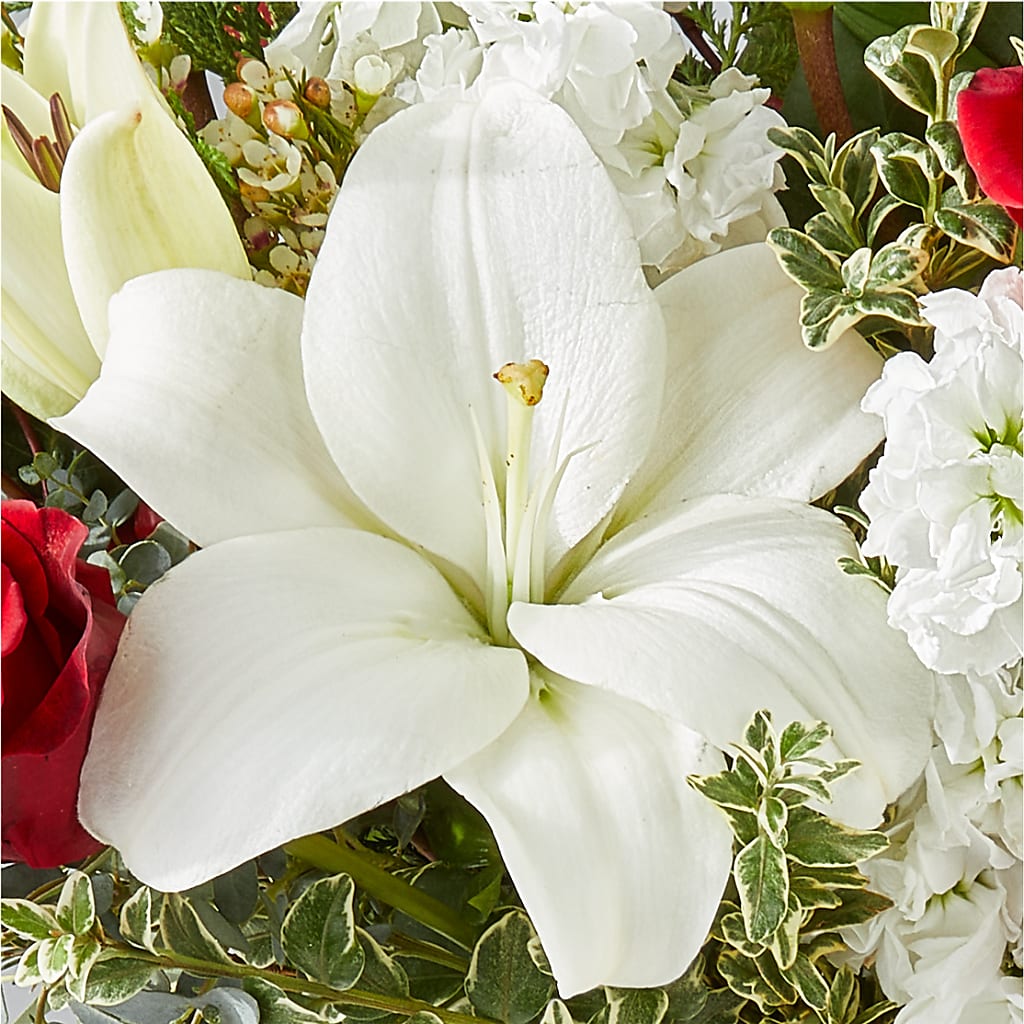 Twinkle Lights Bouquet –  Pettles Flowers, Salina KS