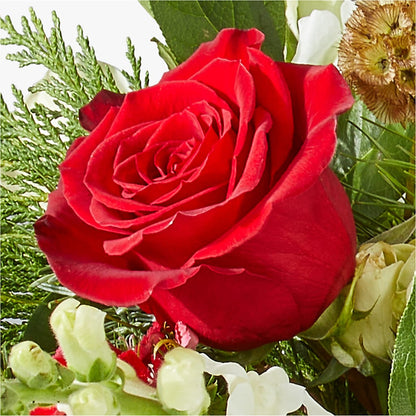 Deck the Halls Bouquet –  Pettles Flowers, Salina KS