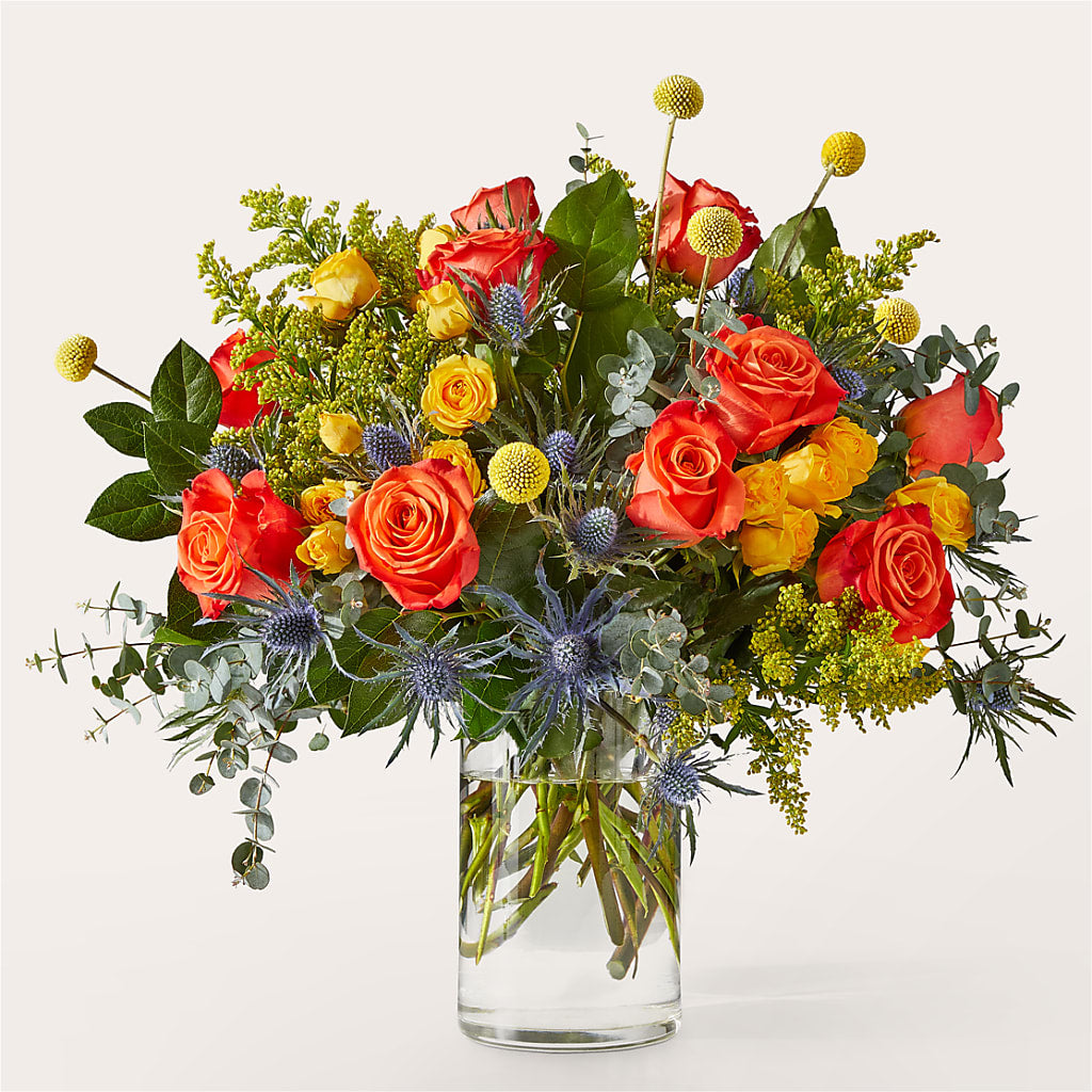Bouquet disco