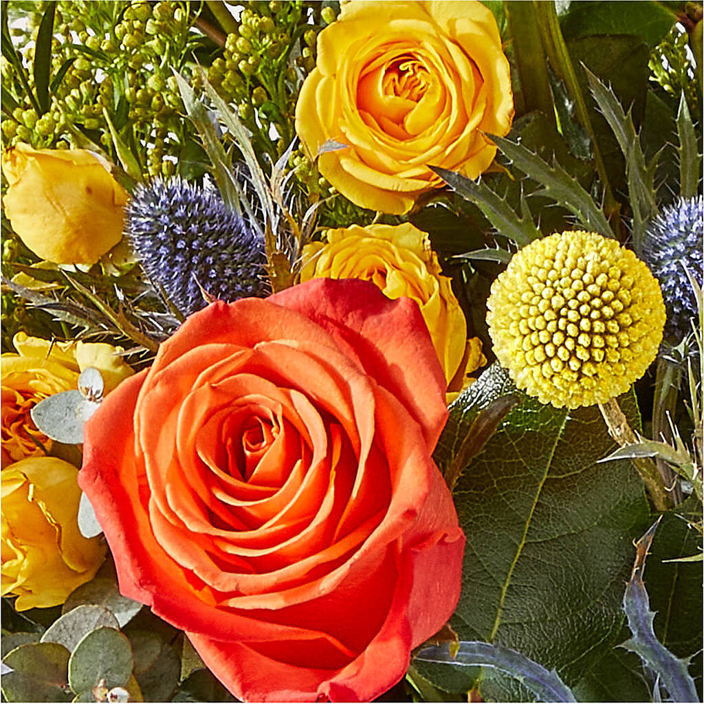 Disco Bouquet –  Pettles Flowers, Salina KS