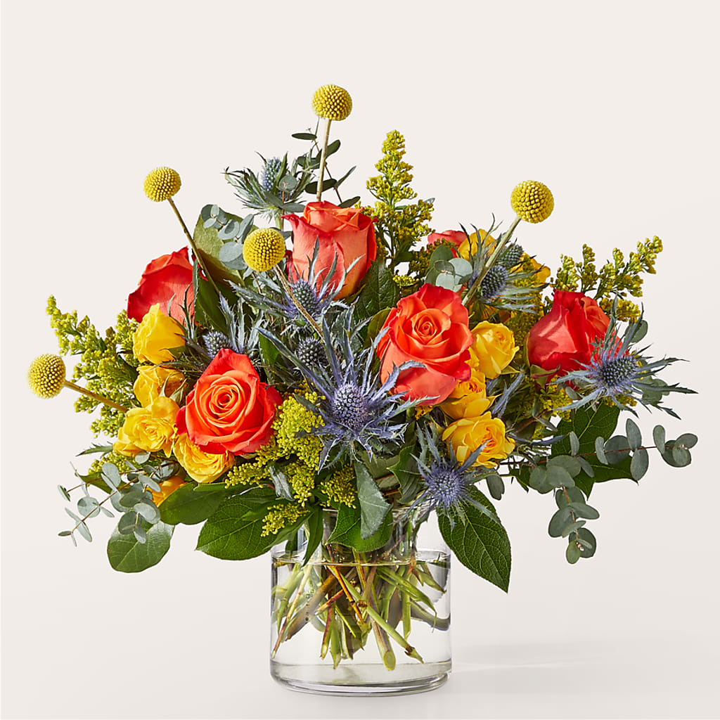 Bouquet disco