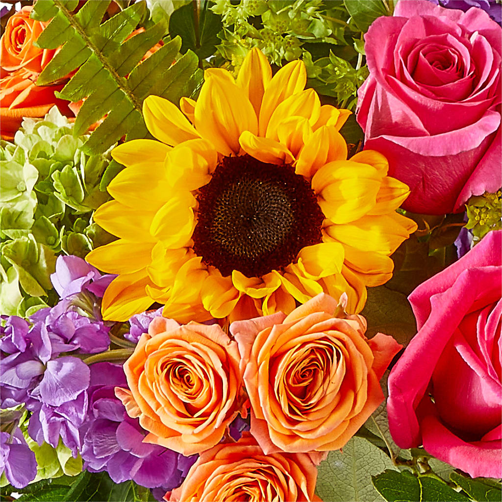 Vibrant Greetings Bouquet –  Pettles Flowers, Salina KS