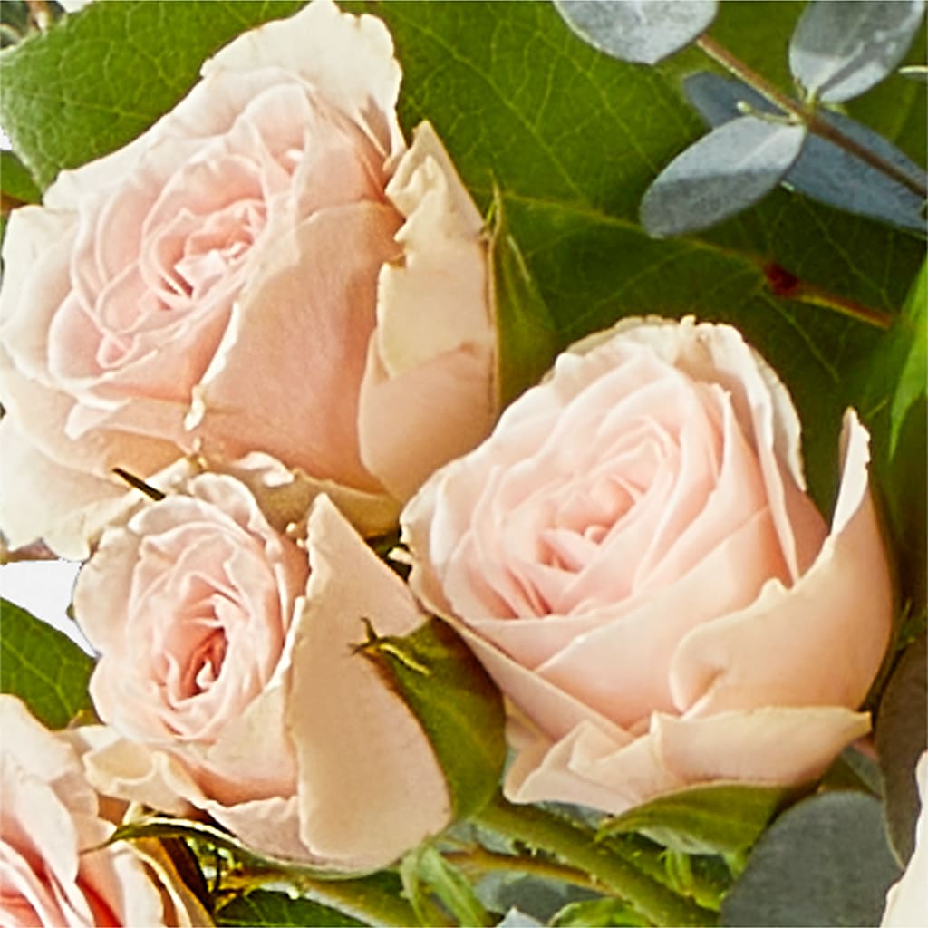 Inspired Bouquet –  Pettles Flowers, Salina KS