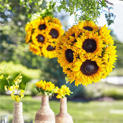 Sublime Garden Hanging Arrangement –  Pettles Flowers, Salina KS