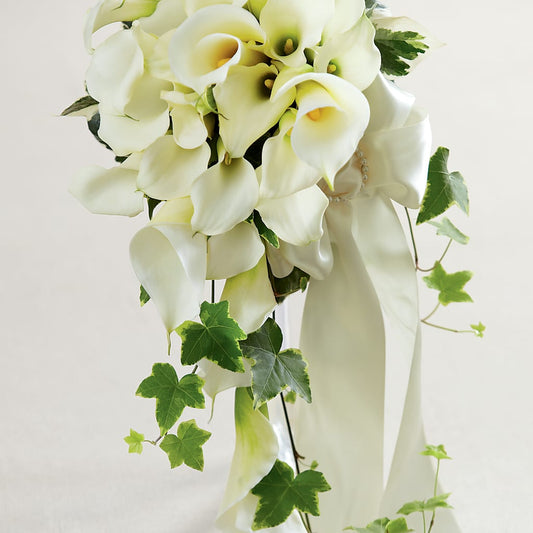 Ramo capilla blanca